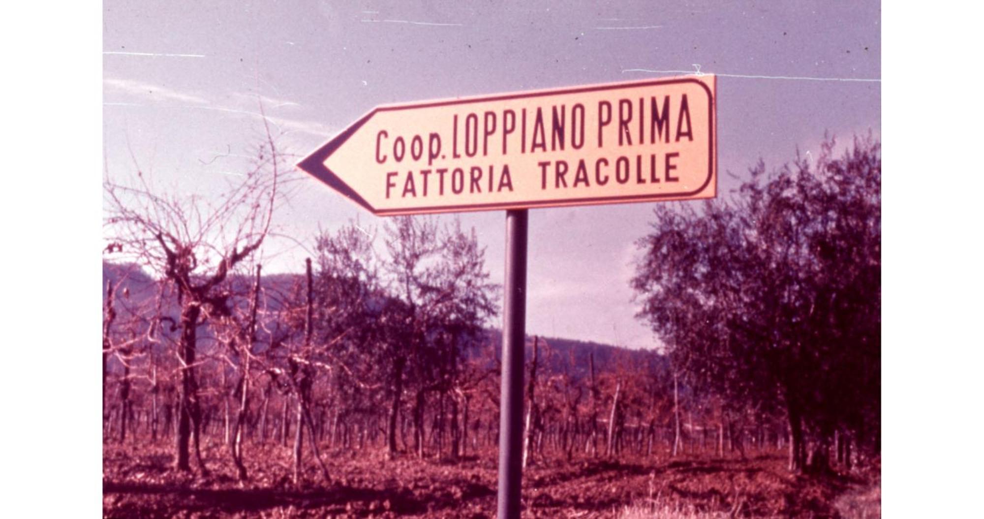 Вилла Agriturismo Fattoria Di Loppiano Regina Mundi Vivajo Экстерьер фото